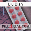 Liu Bian 18